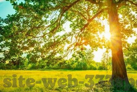 开云体育下载安全快速-开云体育下载，保障安全与速度的优选指南