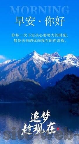 新蒲京赌场澳门电影-新蒲京赌场澳门电影，光影交织的赌城传奇