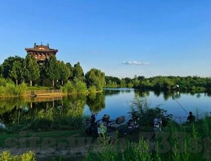 足球中次回合比分-足球次回合比分，逆转与坚守的战场传奇